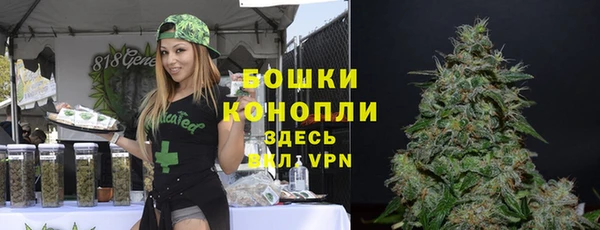 дживик Абаза